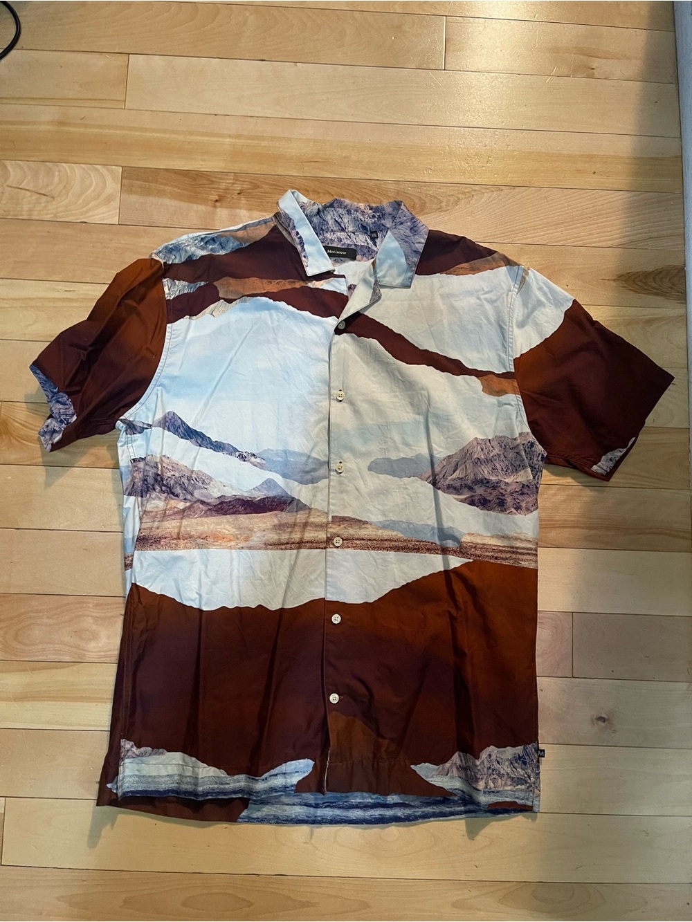 Men's Casual Scenic Print Button-Down Shirt - Brown & White